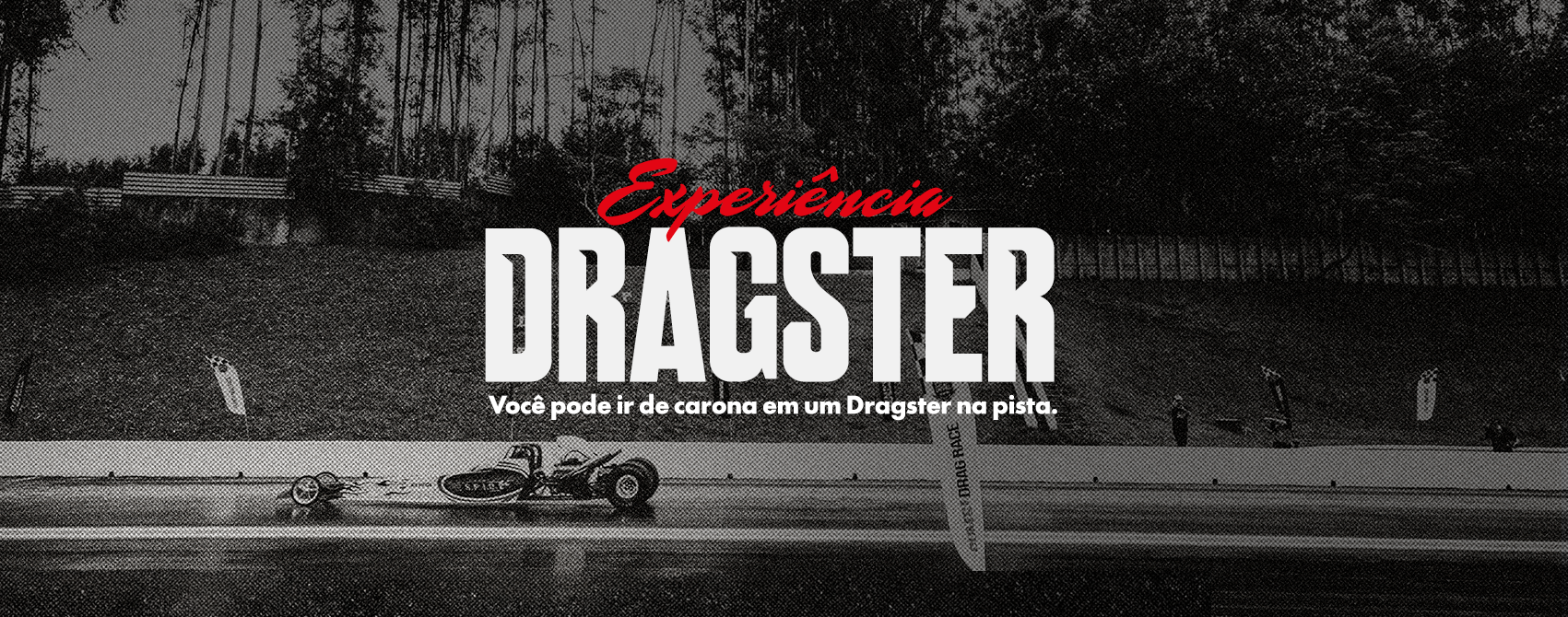 Piloto Harley
